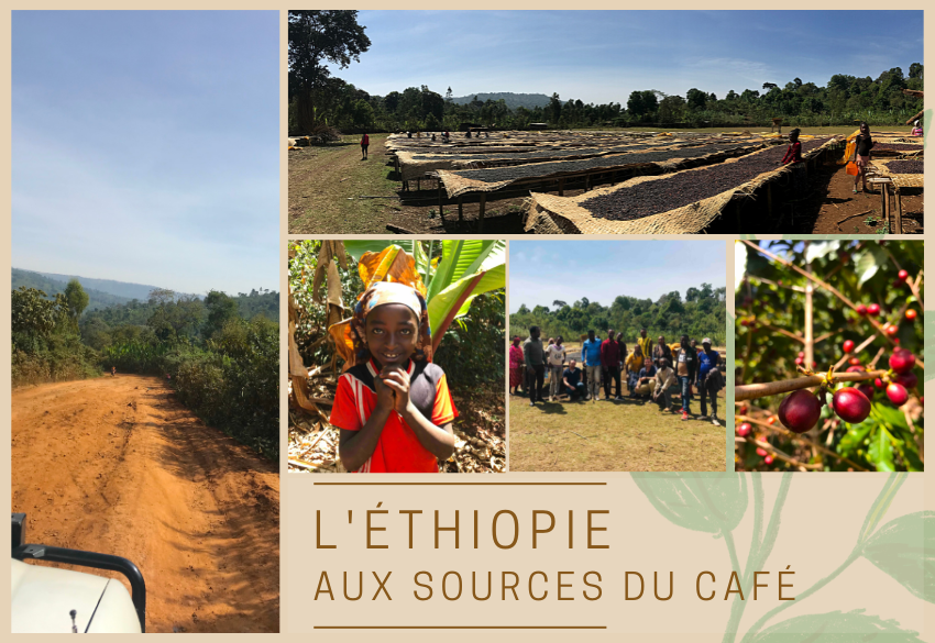 L’Éthiopie, aux sources du café...
