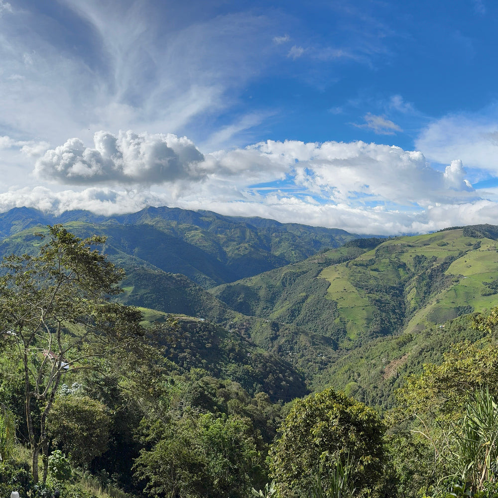 Colombie