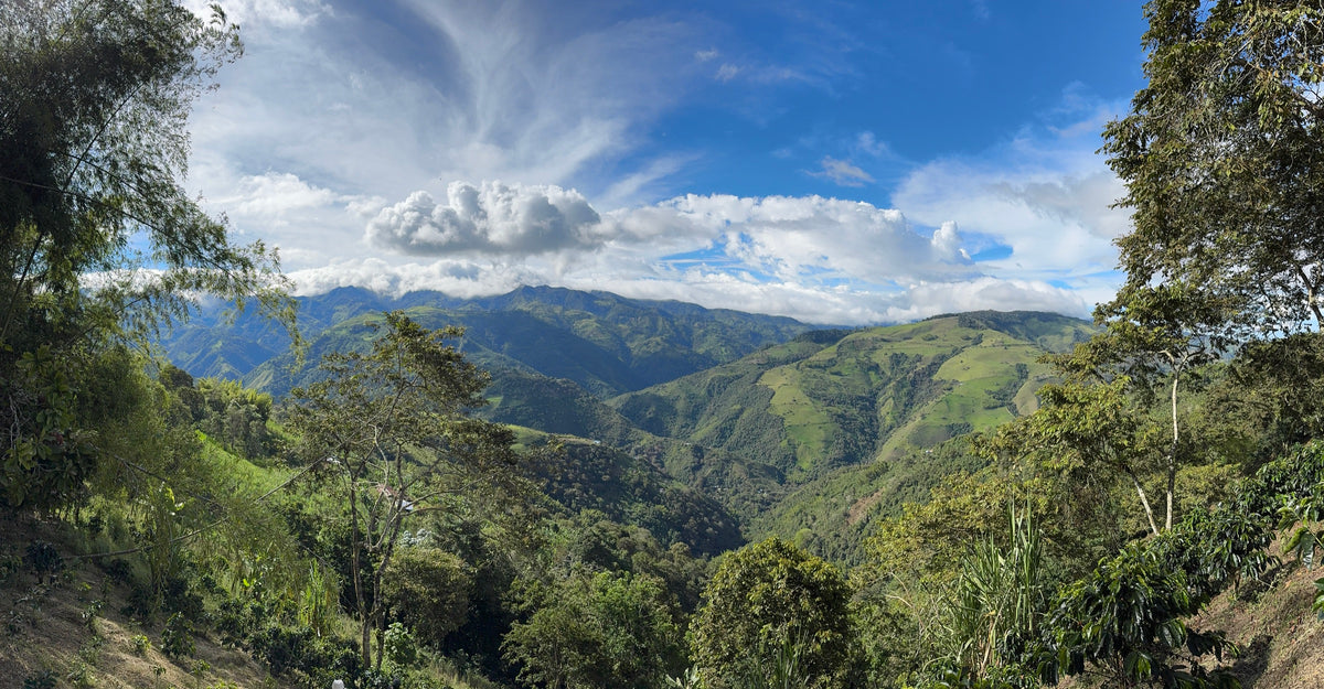 La cordillère Occidentale, Colombie
