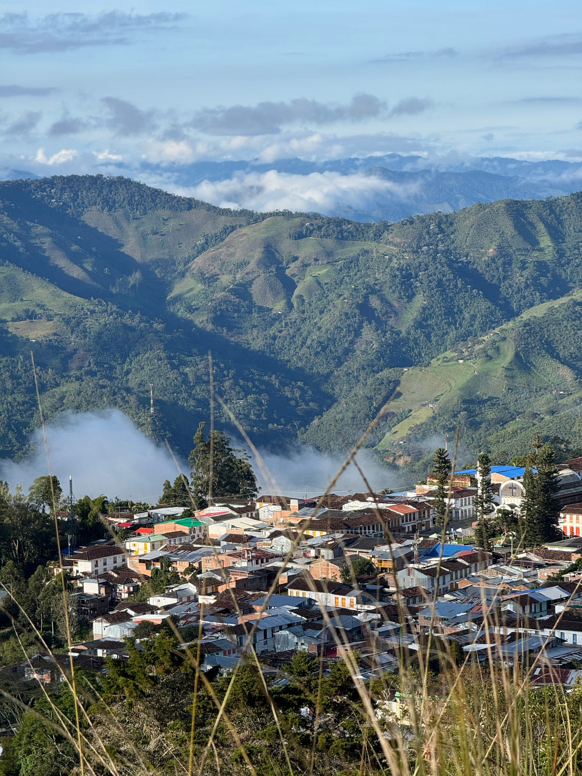 Village dans la forêt de nuages, Colombie