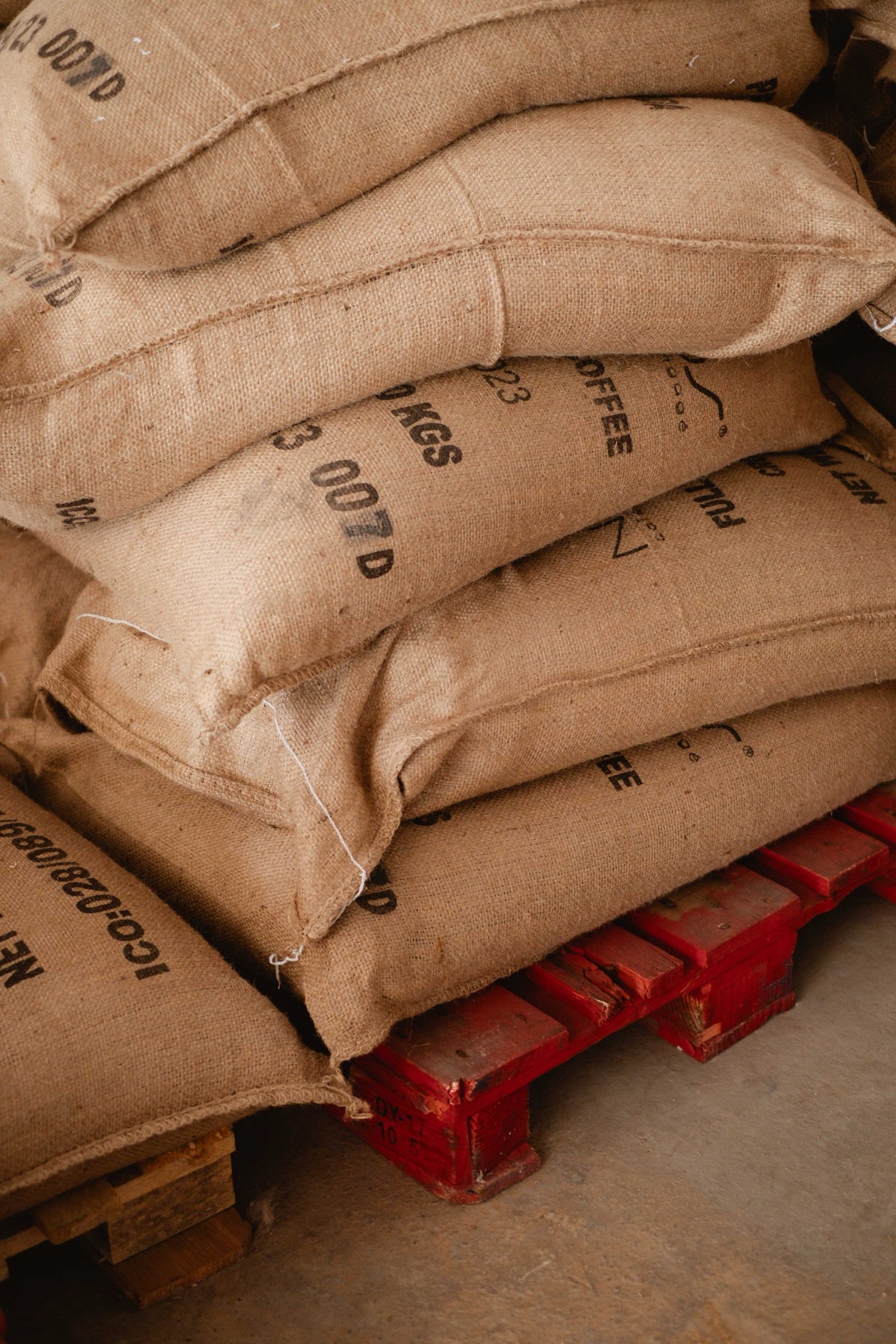 Sacs de café vert