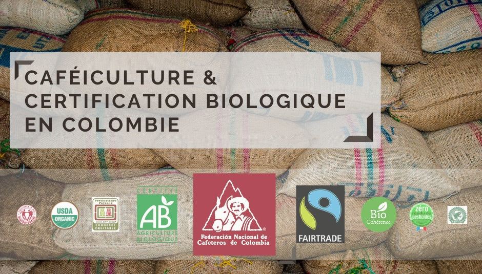 Caféiculture et certification biologique en Colombie 1/2
