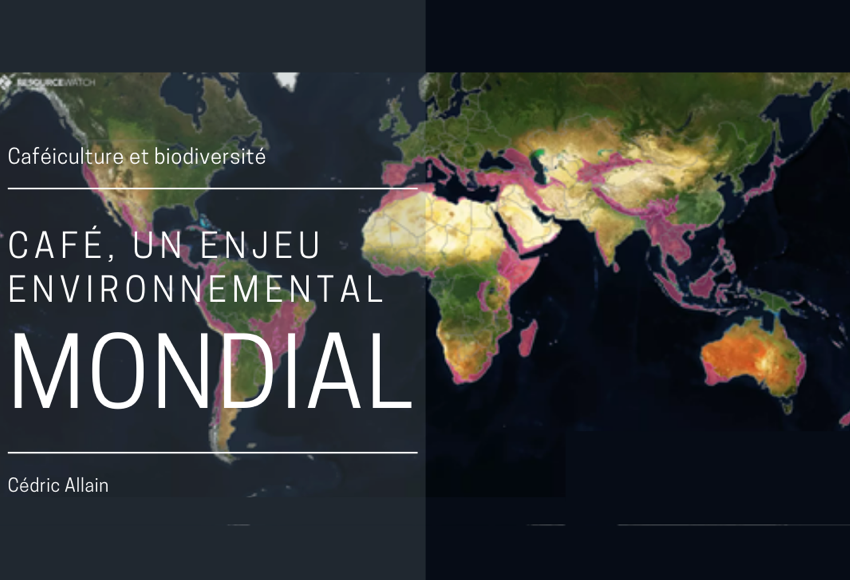 Café, un enjeu environnemental mondial