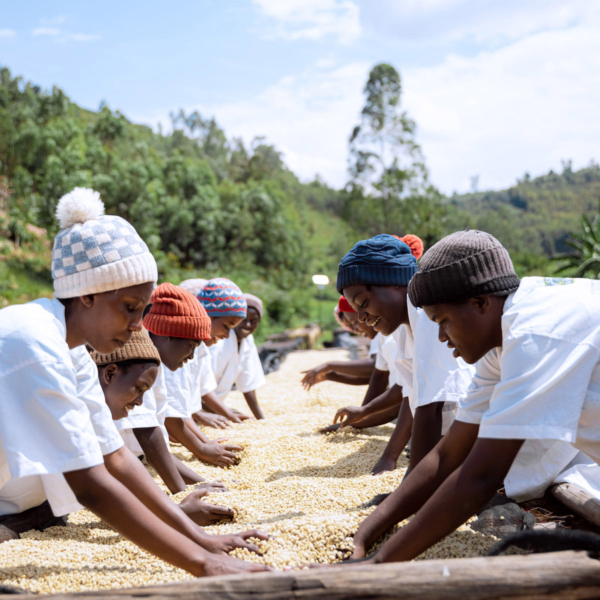 Coopérative Simbi, Rwanda