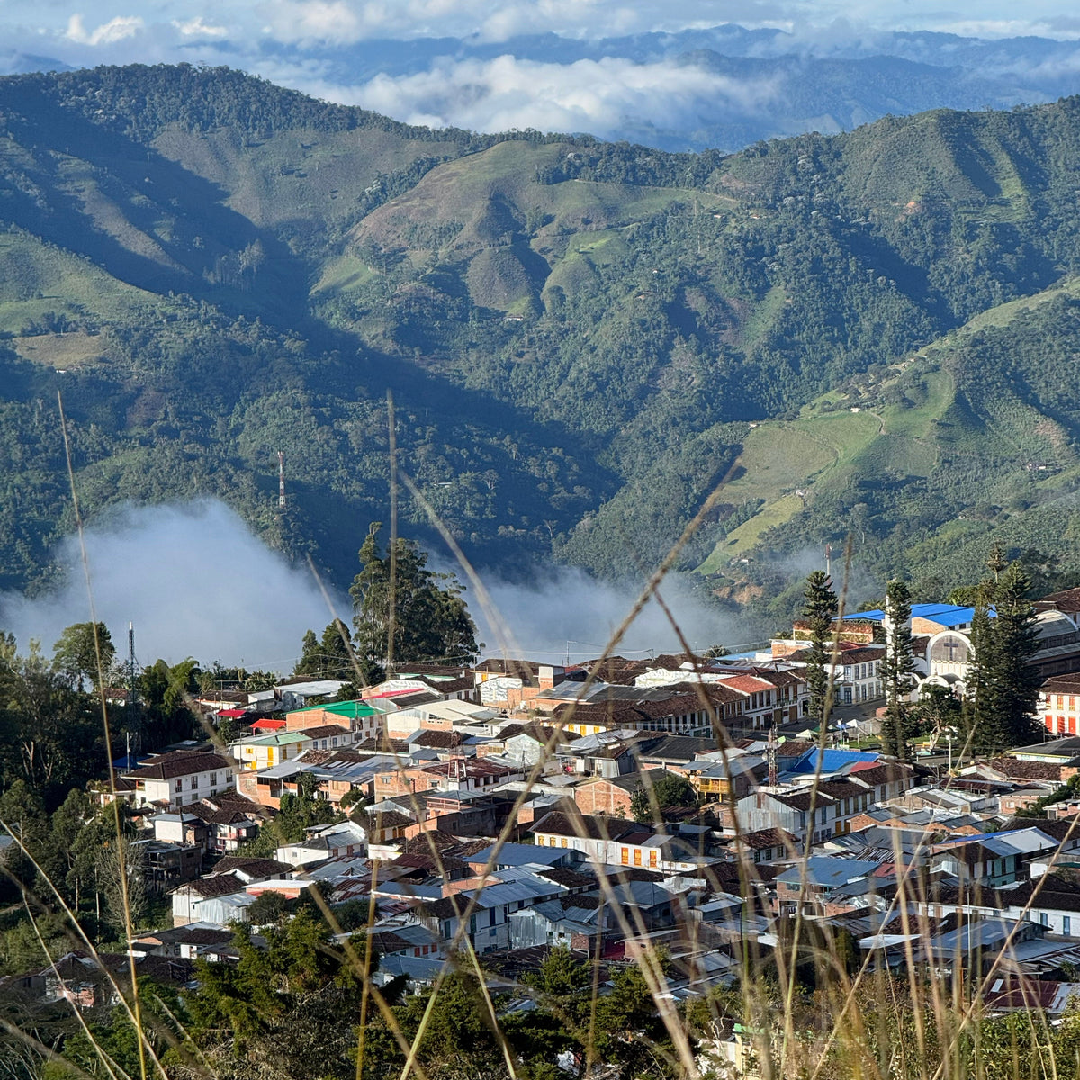 La cordillère Occidentale, Colombie