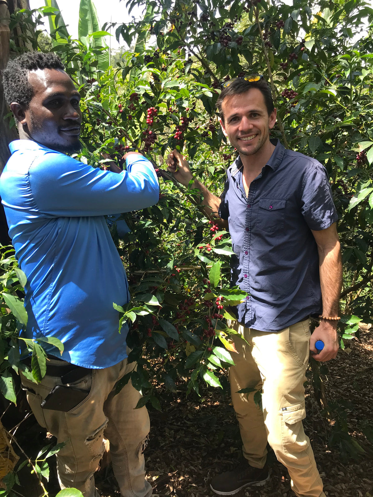Micro-lot Yirgacheffe
