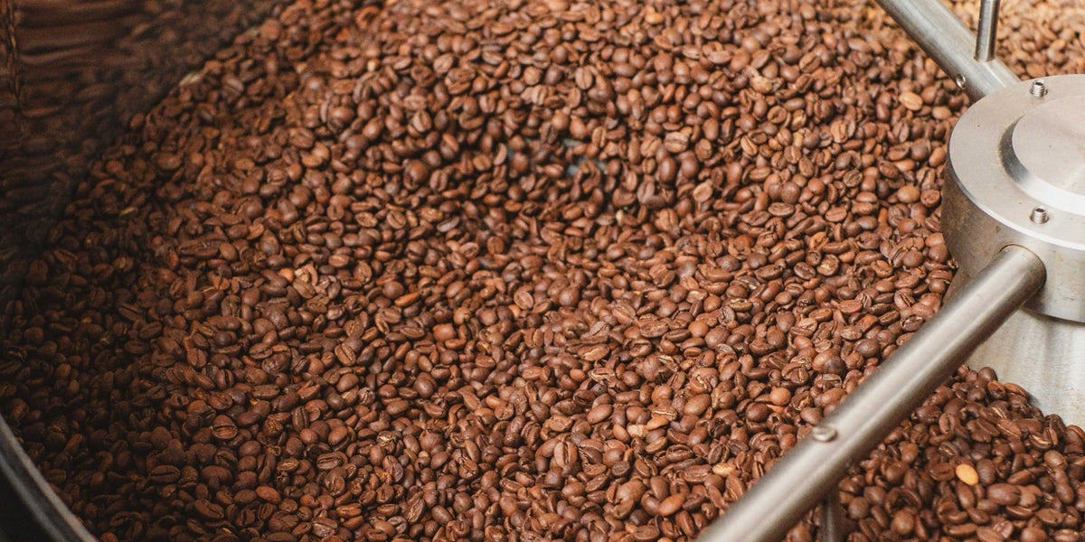 Grains de café fraîchement torréfiés dans le bac de refroidissement du torréfacteur
