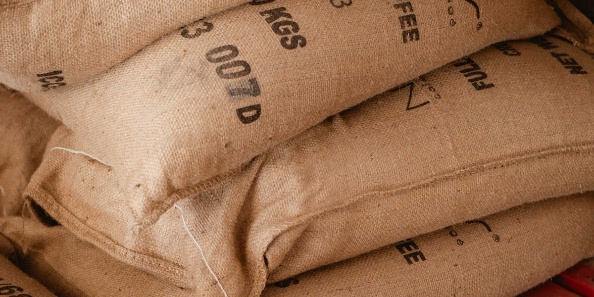 Sacs de jute de café vert empilés sur palette dans l'entrepôt Nativos